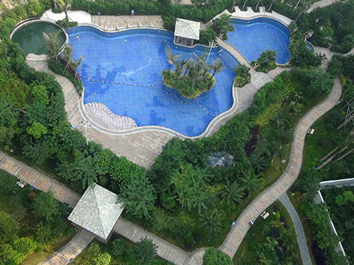 廣東嘉澳園林工程動(dòng)態(tài)