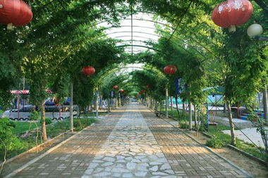 園林景觀 山東奧景園林 園林工程價格 園林景觀 山東奧景園林 園林工程型號規格